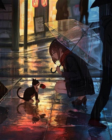 我怎么变成了一只猫