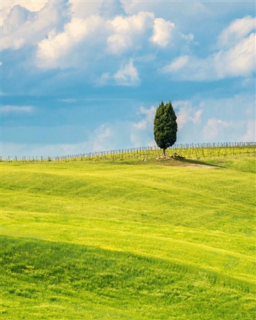 我和沙雕同桌的奇妙冒险