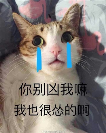 网恋女友是男孩