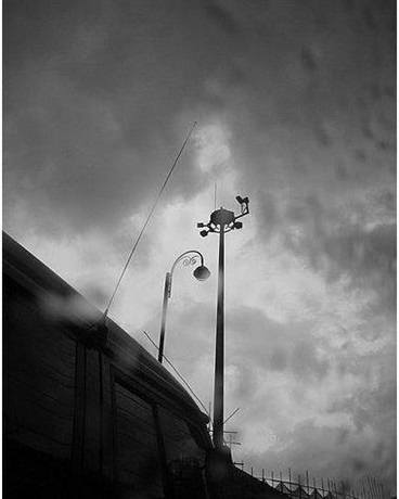 我真不会推理啊