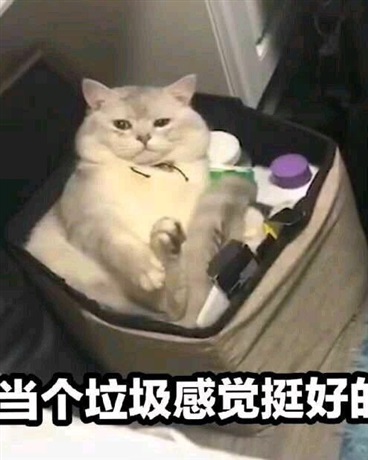 论蠢女人素染的憨批日常