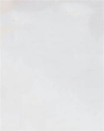 以穿越者身份进圣武之路