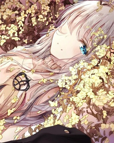 封面不能仔细看