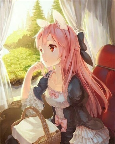 重生之后的二次元旅行