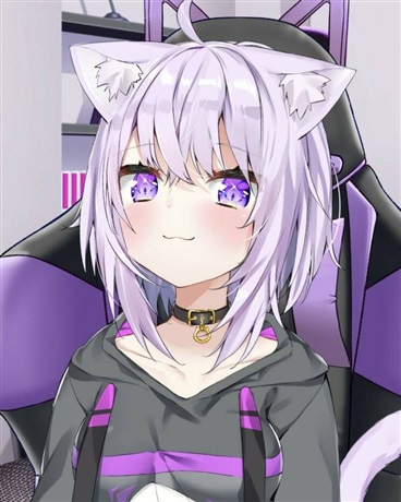 中二少年不会妄想校园恋爱