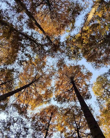目标是醉深梦死的我开始赚钱