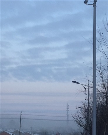 怕麻烦的修仙者