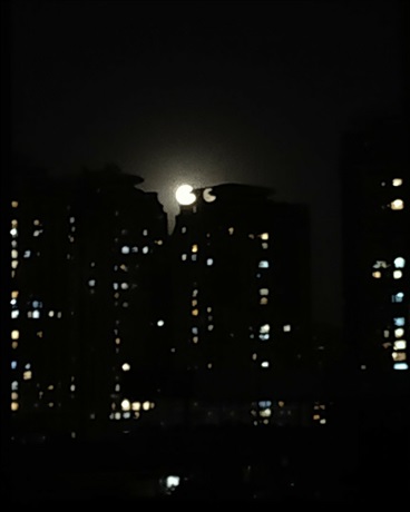 一个从来都没有大人的世界