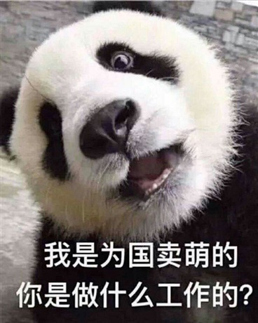 我的毕生追求竟然是