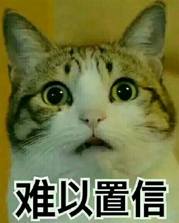这个团只有我是萌新了