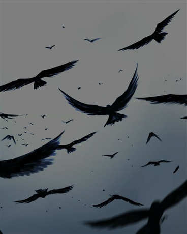 为蛇者终将成龙