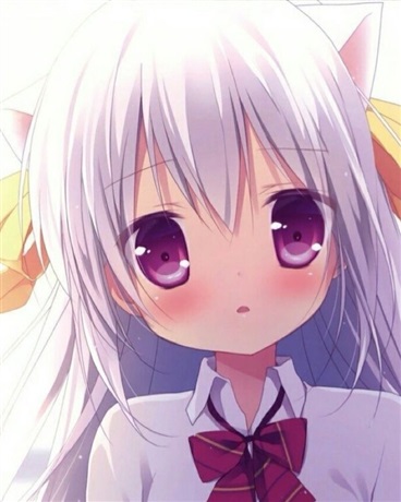 猫娘降临到我身边