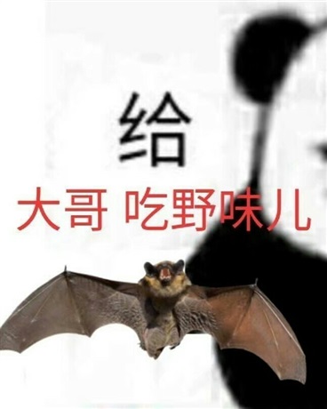 血使我变得无敌