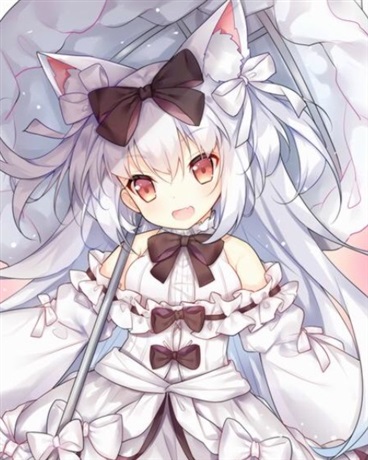 鸽子们的茶话会