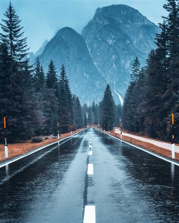 神宠无敌萌萌兔