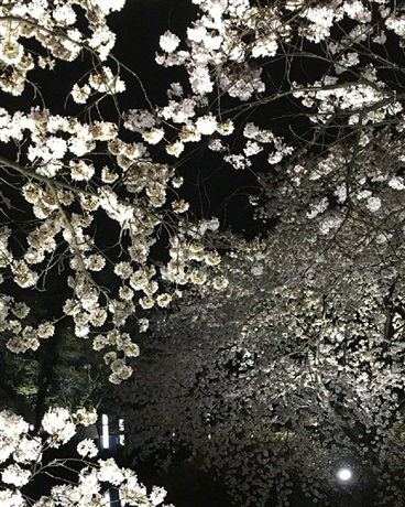 幻机甲