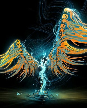 异界的我地球的她