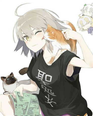 开始我们的战争