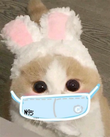 异世界漫游生活