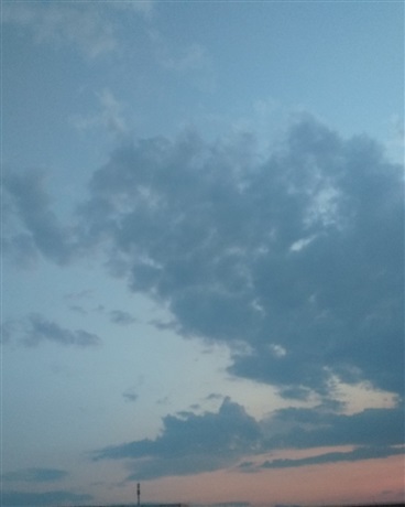 王稳健的奇妙冒险