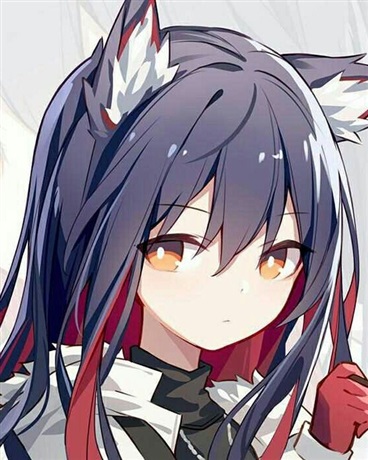 在企鹅物流当老板的事情