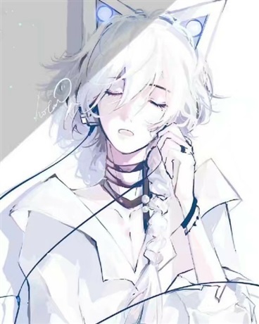 被猫带着旅行的我