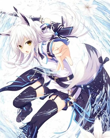 小狐狸的二次元之旅