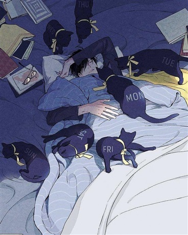 关于猫奴的校园生活大作战