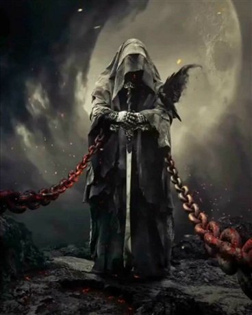 在泰拉的奇妙生活