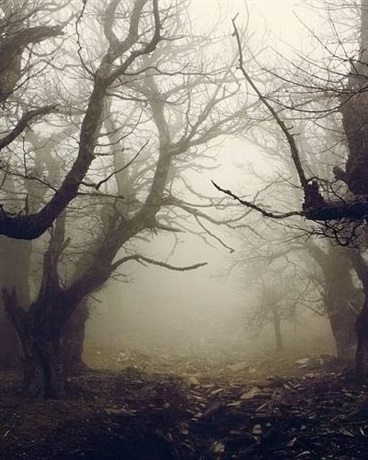 在末世游荡的日子