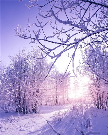 网游火影之重生的我是无敌的