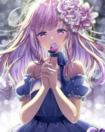 术士小姐进化论