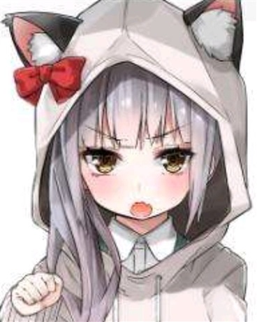 帅气男主与傲娇女的奇妙冒险