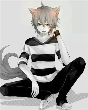 银狼少年的异世界生活