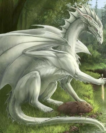 龙与NPC的小说梦