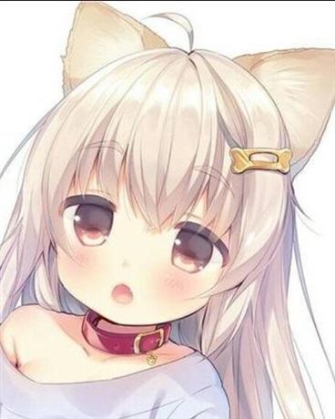 魔物娘们的日常生活