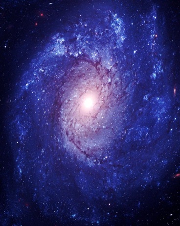 我的世界之血风再起