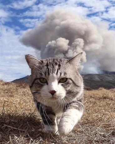 实现约定的方程式