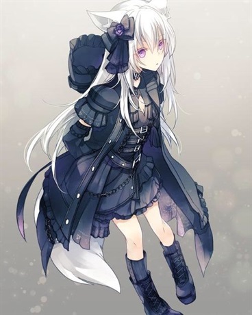 天降的狐狸使我一脸懵逼