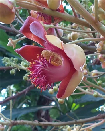 所謂的交流平台