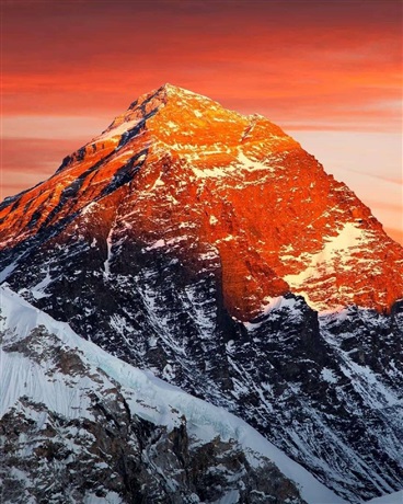 重生后要努力活下去