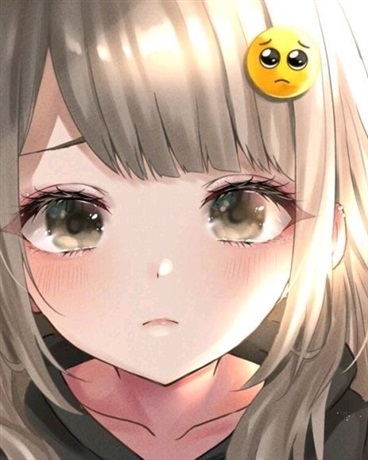 关于我捡了个妹子的二三事