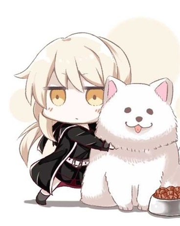 带着女武神和舰娘在二次元旅游