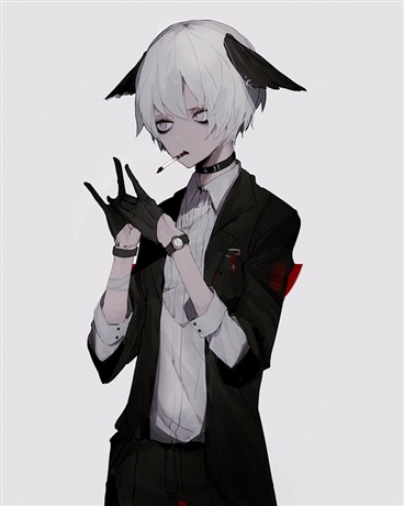 今天开始泡我的铲屎官