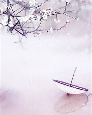 情劫之帝王情心