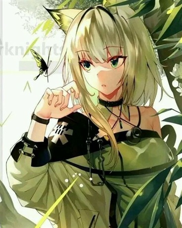 凯尔希的奇妙冒险