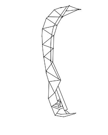 写小说就是来画画的