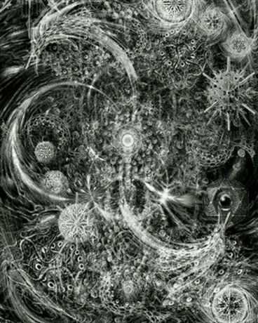 我是泡泡嘛哦我是泡泡