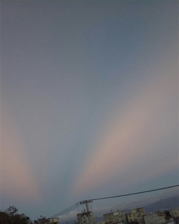 虫系少女恋爱日常