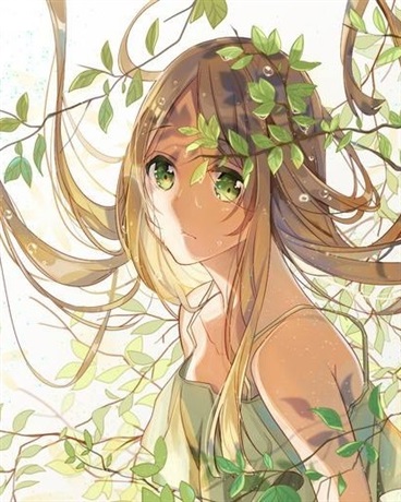 精灵剑士的旅途